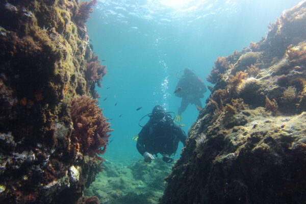 2015Hiszpania 2015-06-26 11-11-14 2015Hiszpania 2015-06-26 11-11-14