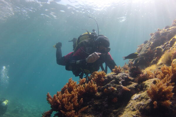 2015Hiszpania 2015-06-26 11-11-42 2015Hiszpania 2015-06-26 11-11-42