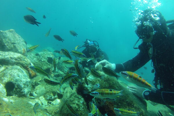 2015Hiszpania 2015-06-26 11-15-51 2015Hiszpania 2015-06-26 11-15-51