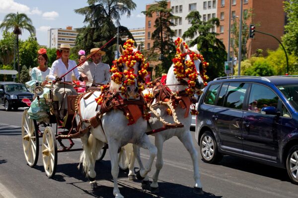 EINerja-Cordoba-excursion-(5)
