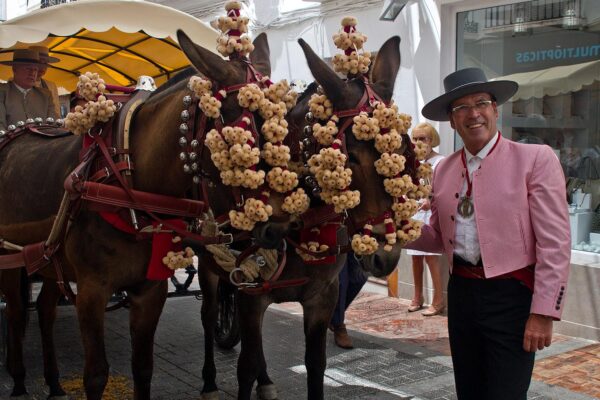 EINerja-Romeria-San-Isidro-(4)