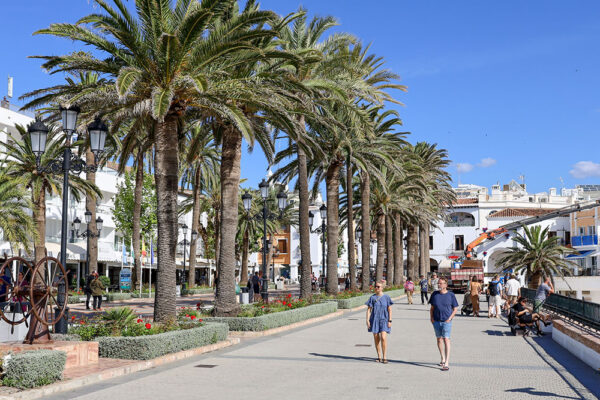 EINerja-Nerja-2025--(10)