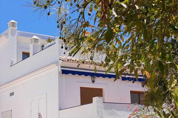 EINerja-School-2025-(25)