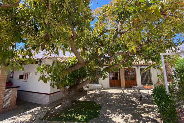 EINerja-School-2025-(26)